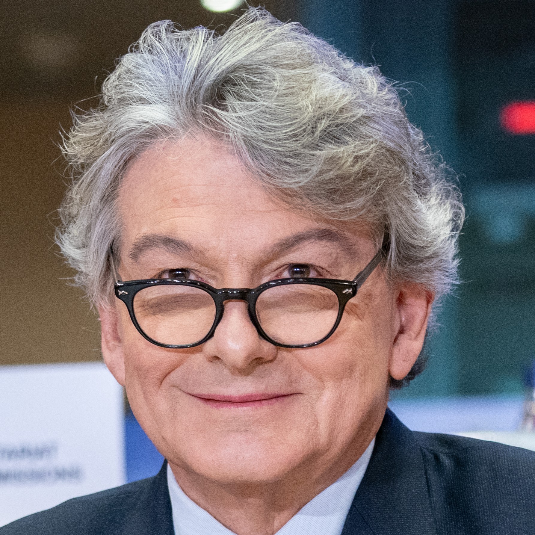 Thierry Breton, Politik