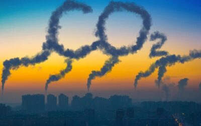 Cloud-Migrationen können CO2-Emissionen deutlich reduzieren